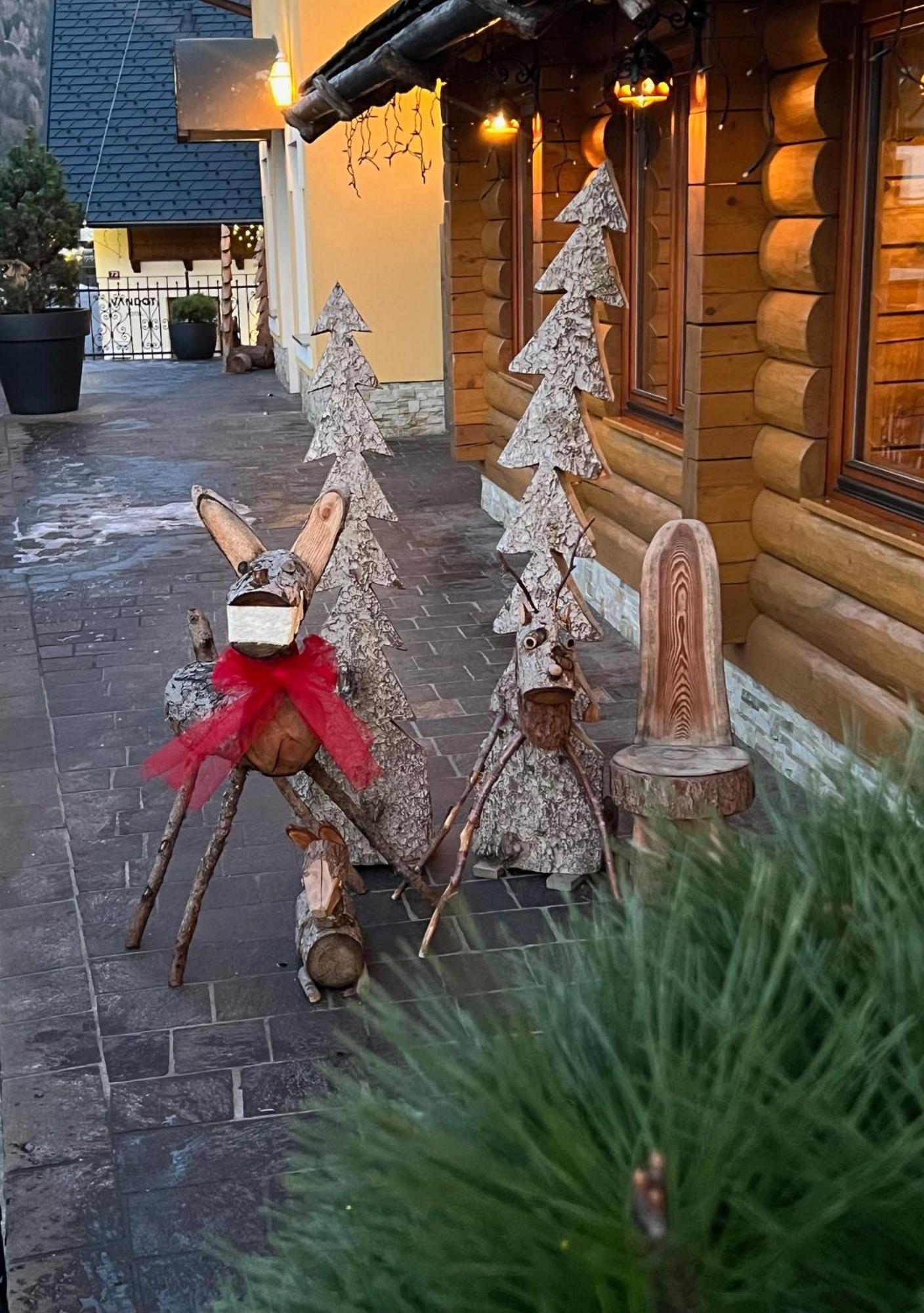 Kotnik Superior Boutique Hotel Kranjska Gora Exterior foto